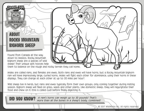 "Animal Jam", coloring page